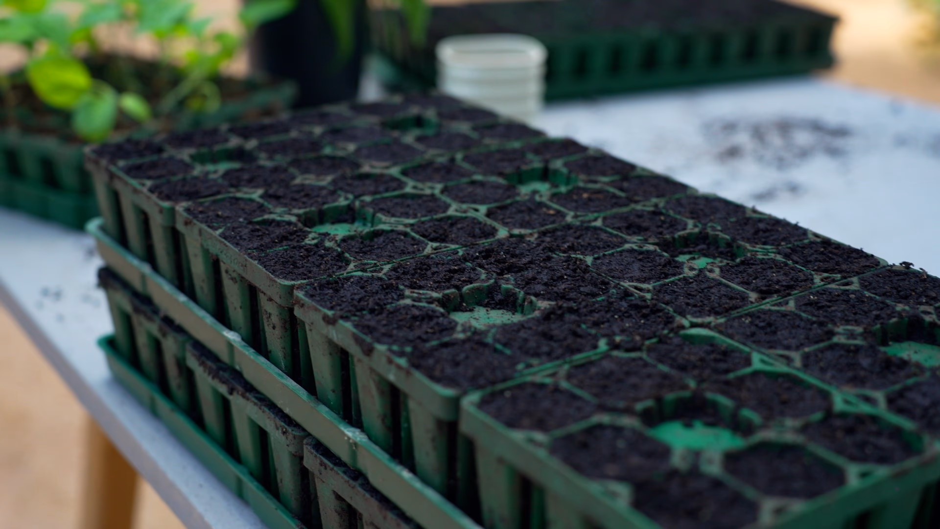 Cultivate Style That Lasts Generations